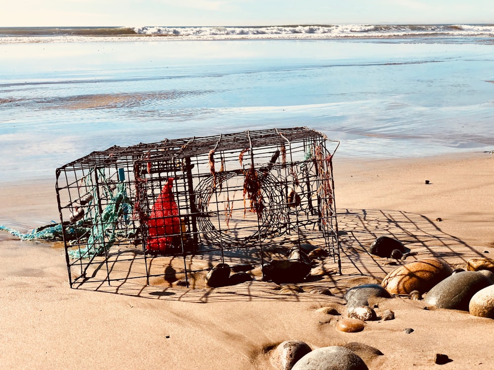 brown wire crab cage
