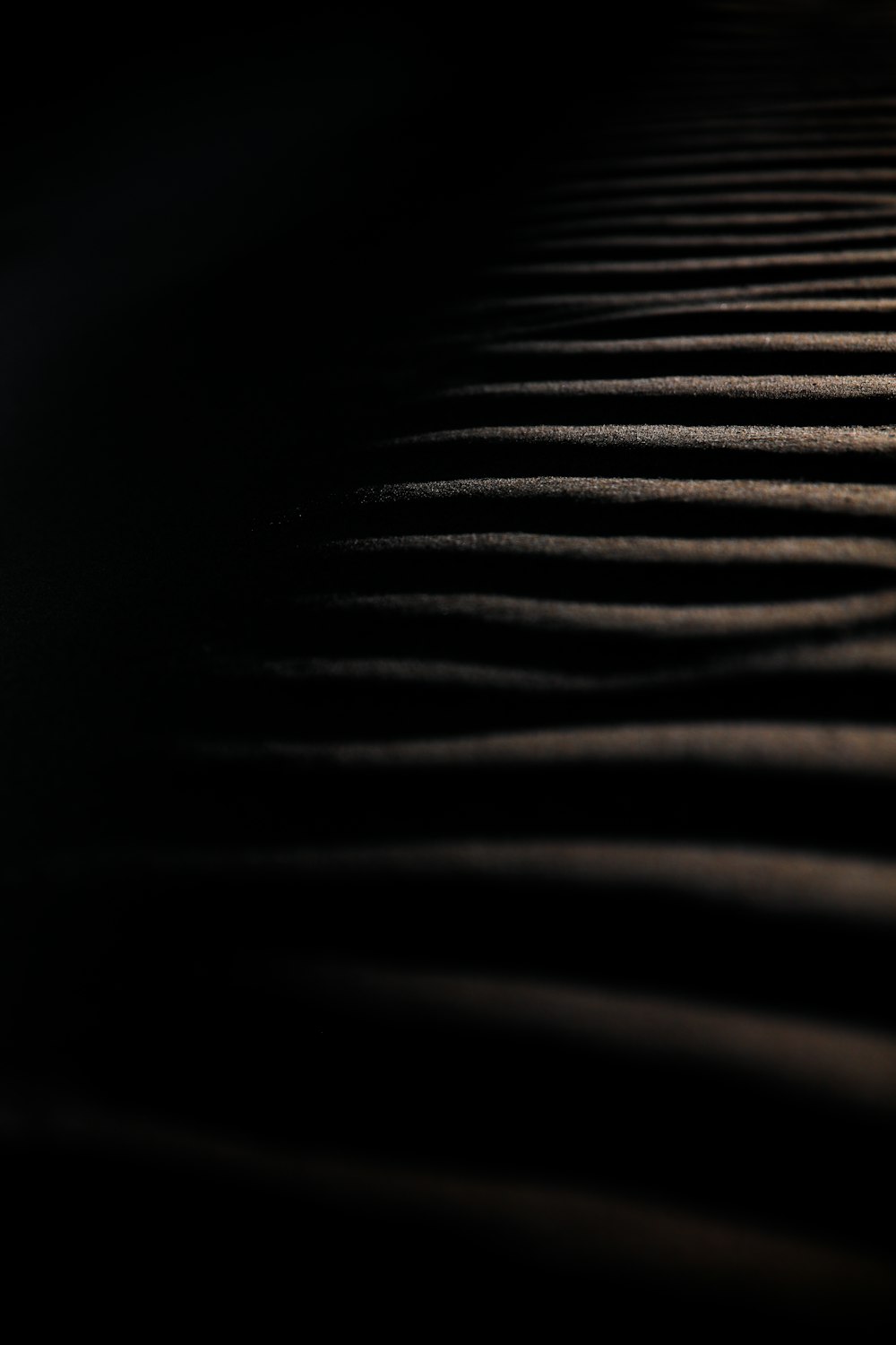 Una foto en blanco y negro de una duna de arena