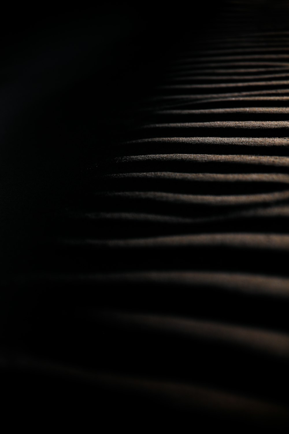 a black and white photo of a sand dune