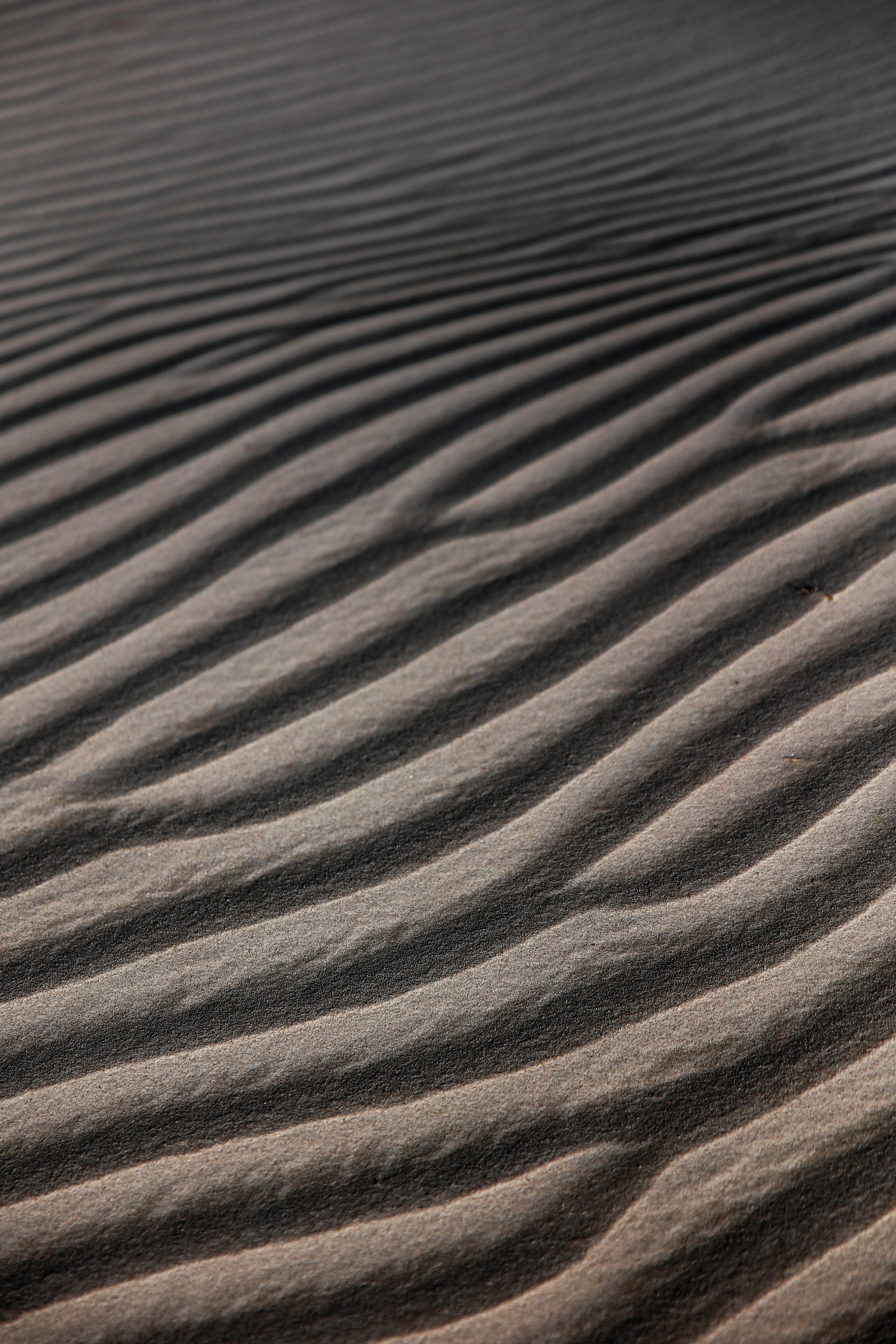 Photo by worldsbetweenlines