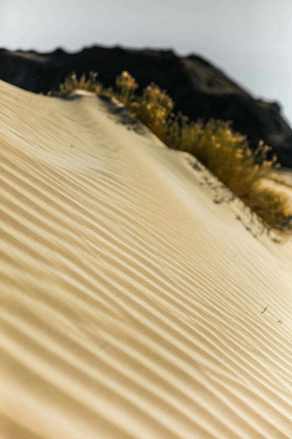 Photographie sélective de sable brun