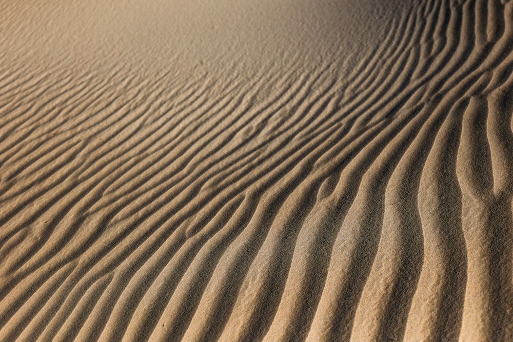 昼間の茶色い砂原