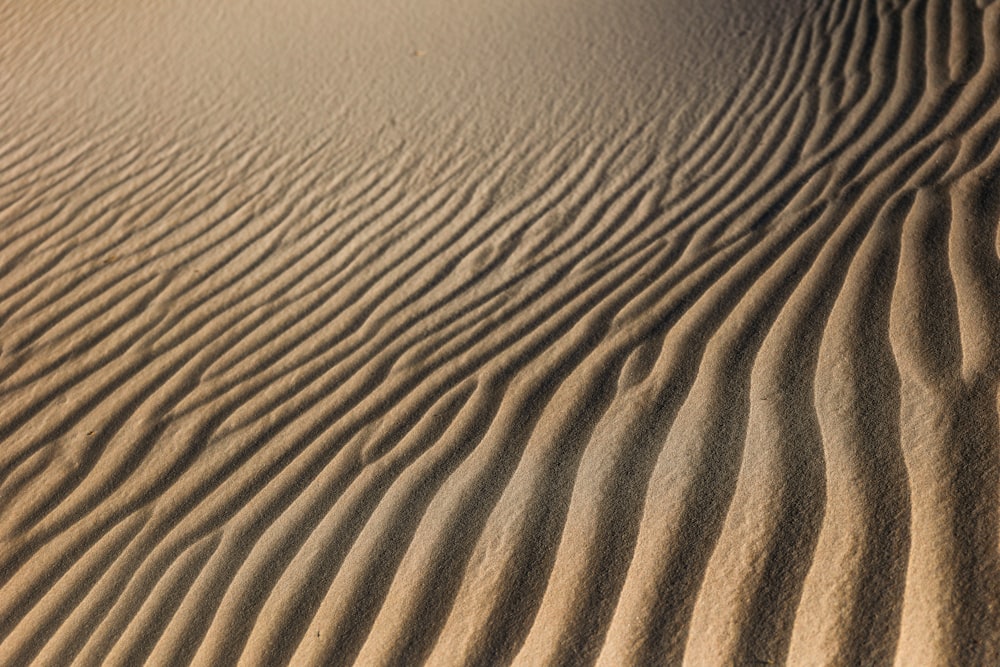 Campo de areia marrom durante o dia