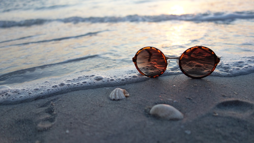 brown sunglasses on seashore