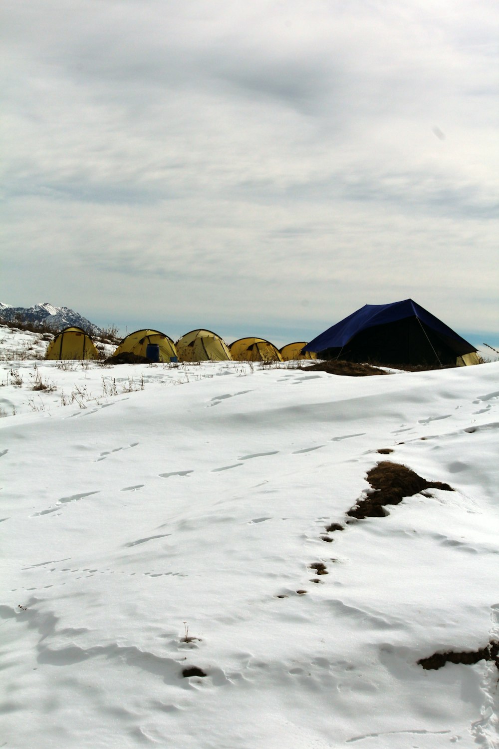 six yellow and black pop-up dome tents on snow