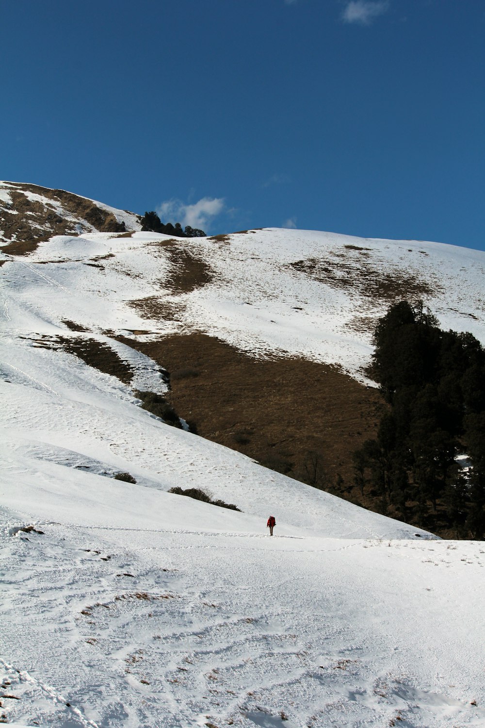 person walking on snow covered mountain during daytime