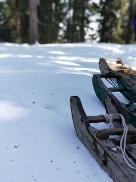 Close-up of a high-tech skeleton sled ready for competition.