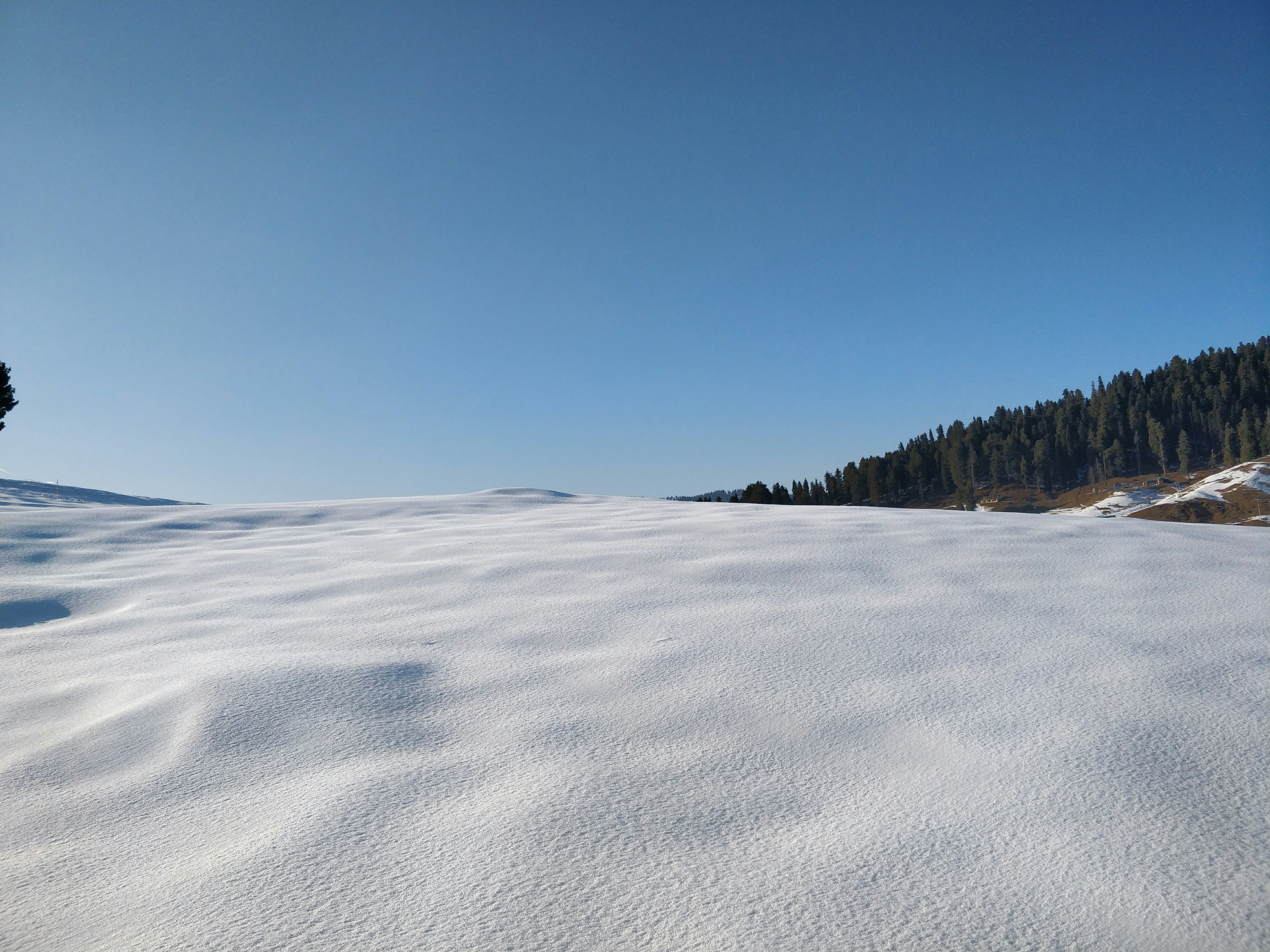 Photo by sumitrajan3001