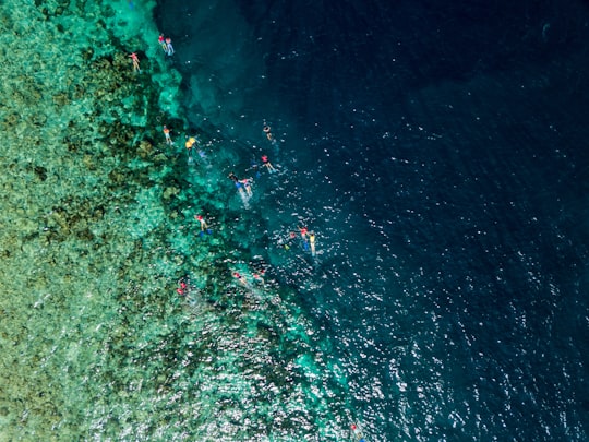 bird eye view photography of people on body of water in Kudarikilu Maldives