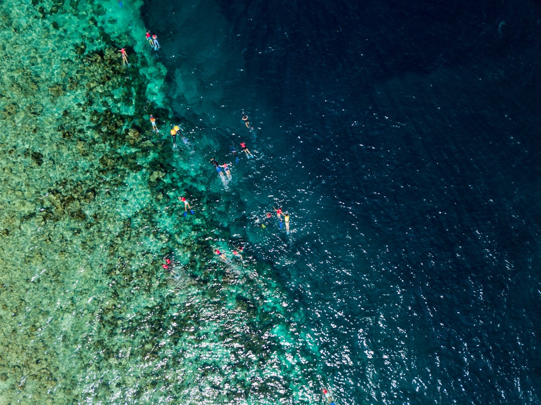 Underwater photo spot Kudarikilu Thoddoo