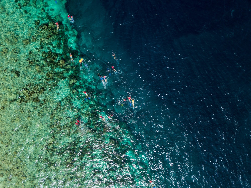 bird eye view photography of people on body of water