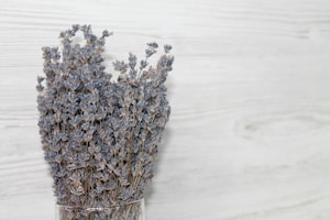 Lavender Calm Bundle