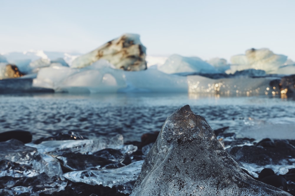 水域と氷の塊の風景写真