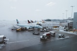 white airlines on gray concrete ground
