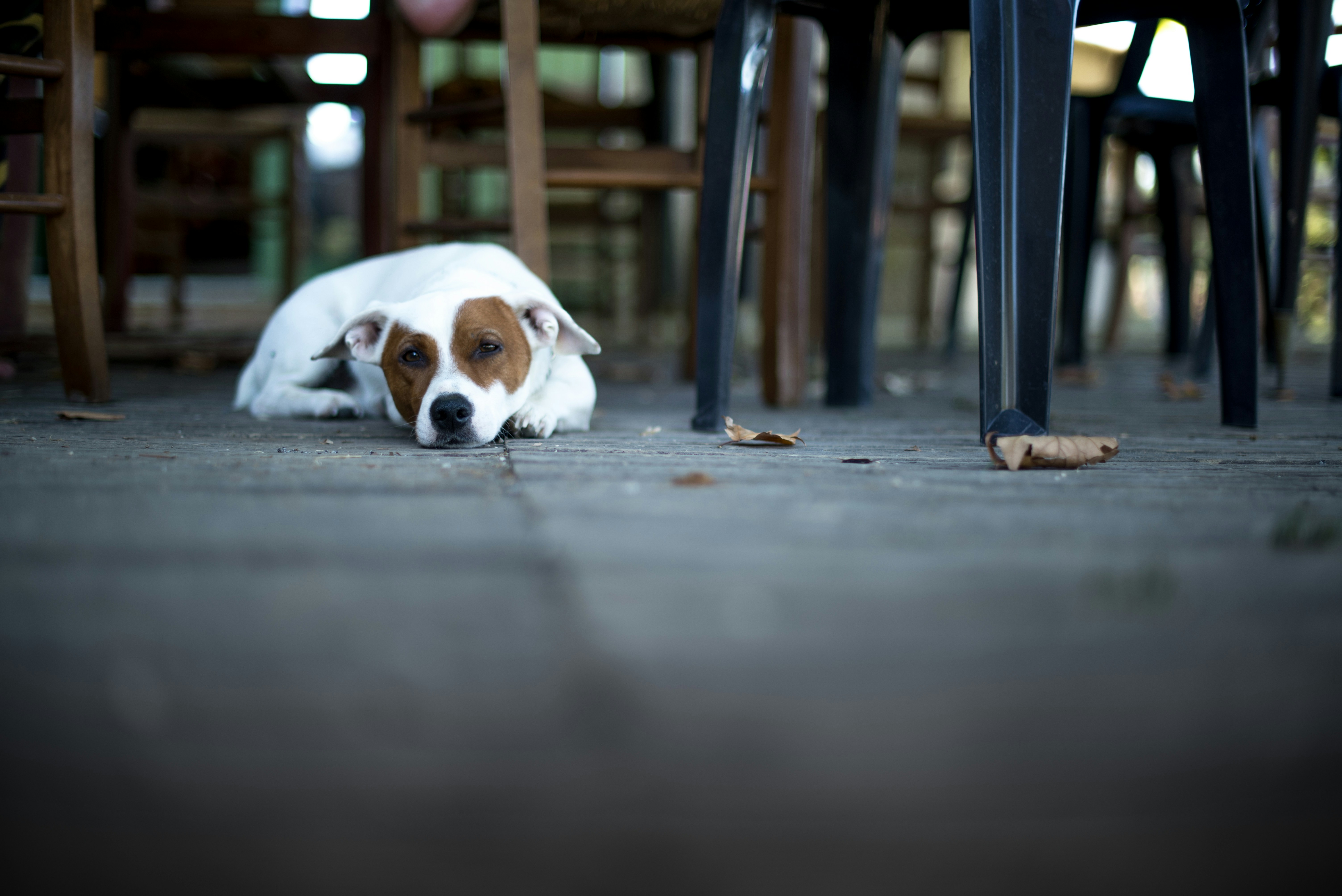 Vitamina D: un utile coadiuvante per tutte le stagioni