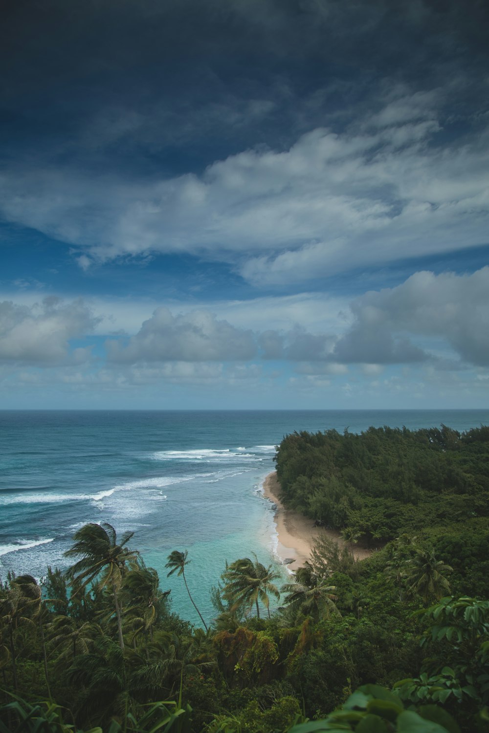 aerial photography of beach