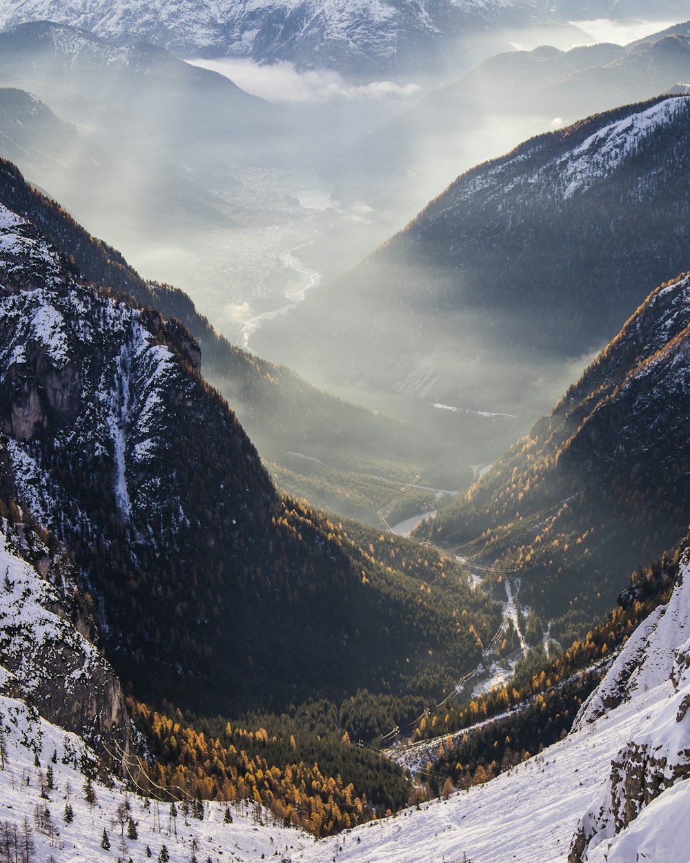 tree-covered valley between snow-capped mountains aerial photo