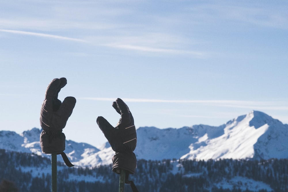 two gloves on stick