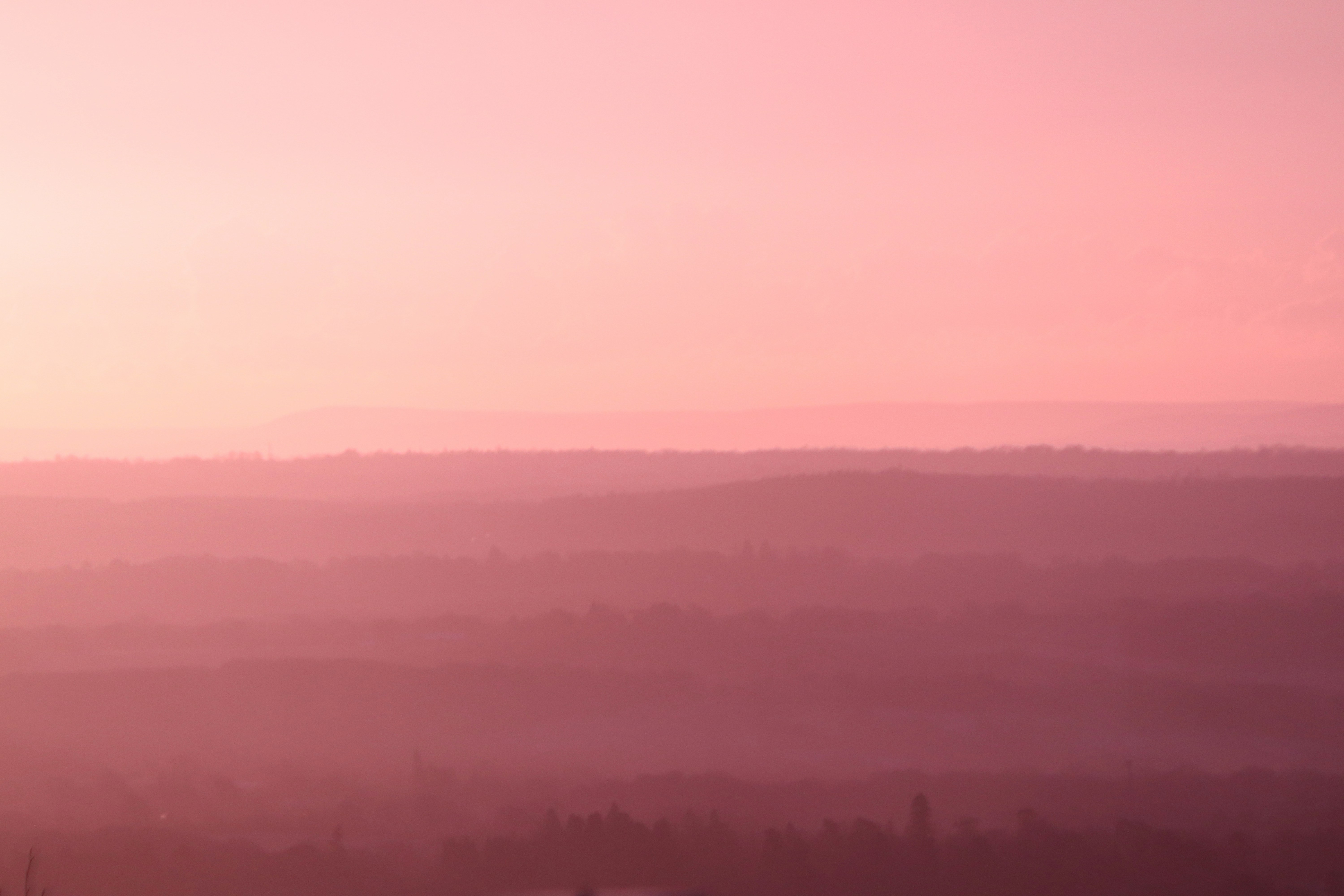 Photo by josh_bacon136