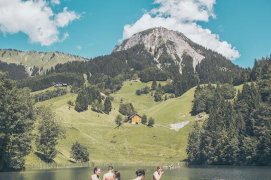 mountain near trees and body of water in Sankt Gerold Austria