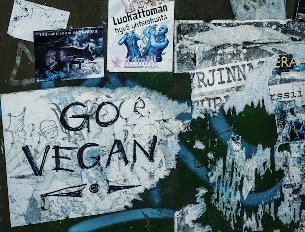 assorted posters and vandals on wall 