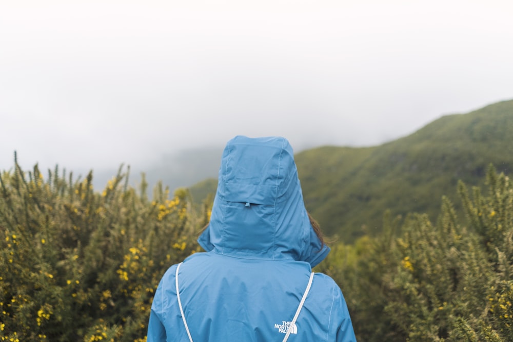 person in blue hoodie staring at green field