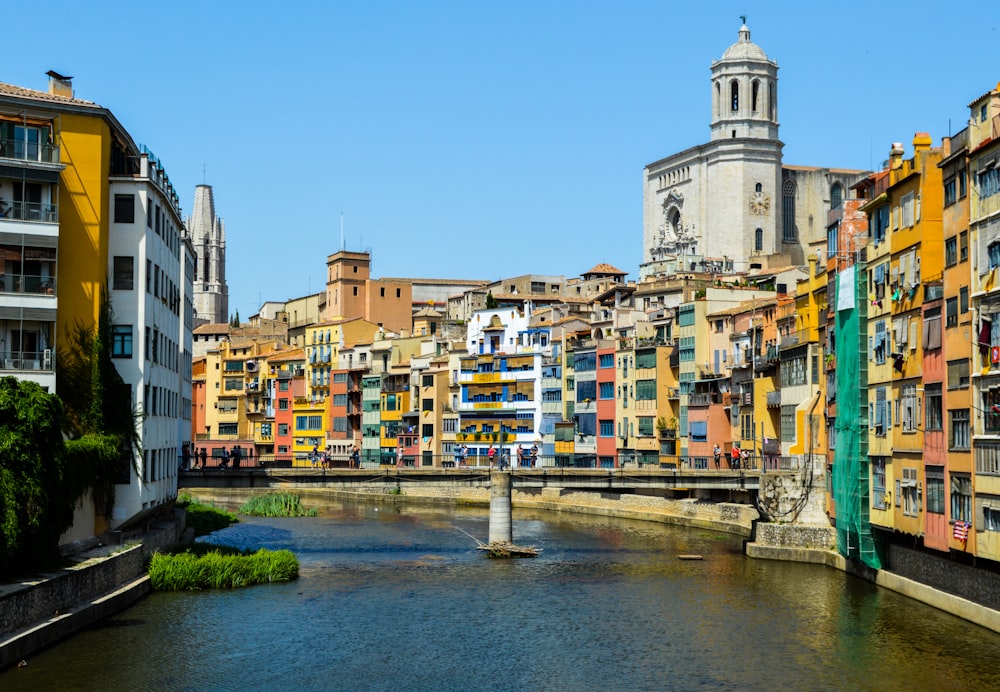 assorted-color buildings under clear blue sky