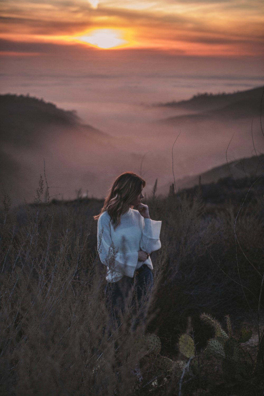 woman standing near brown leaf plants during golden hour