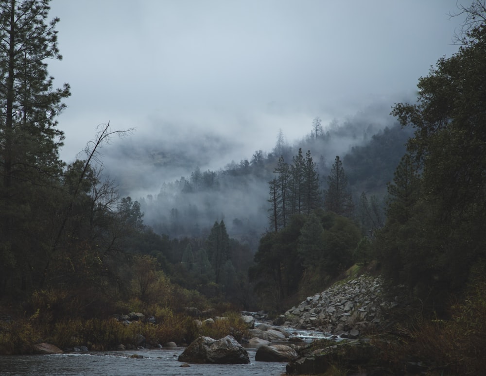 landscape photography of river with foggy mountain view