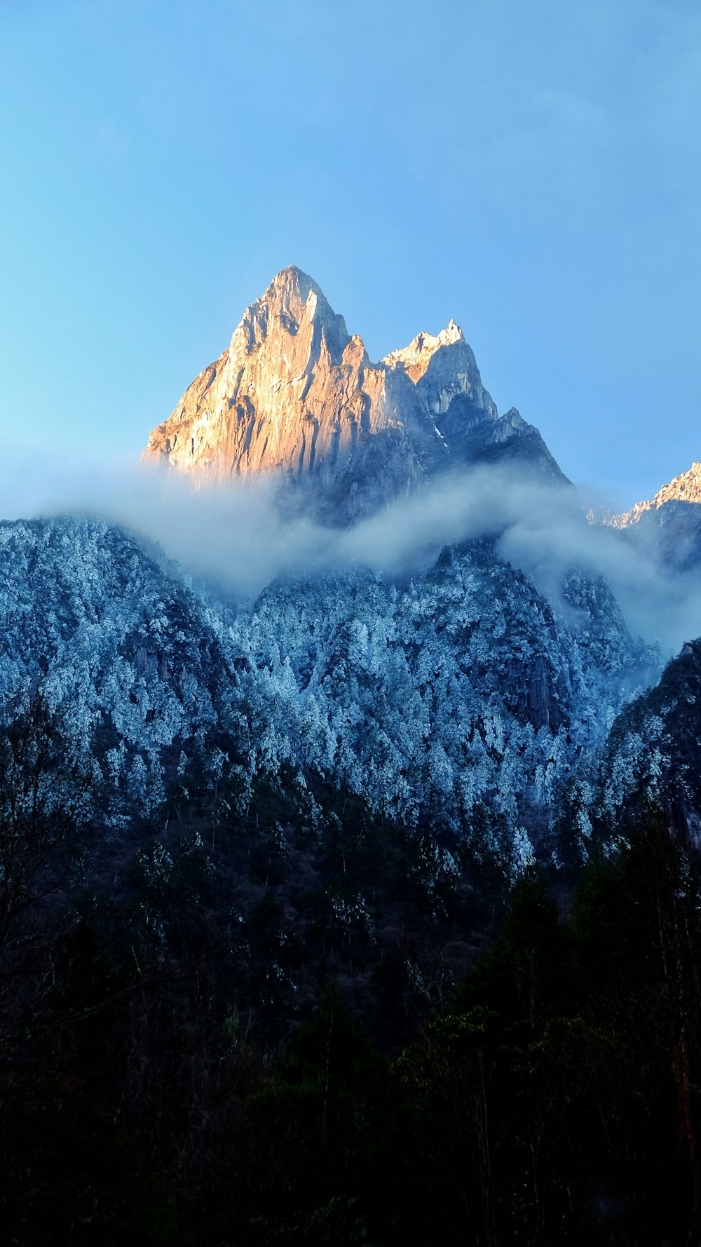 Foto de montaña y pinos durante el día