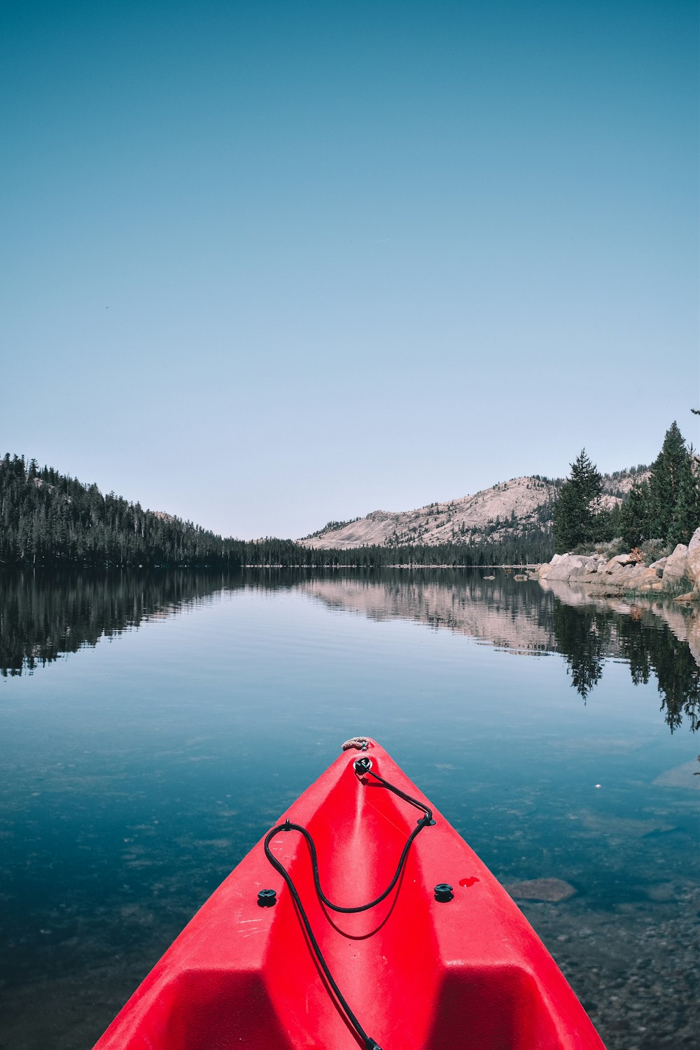 person capturing forest and mountain while in kayak