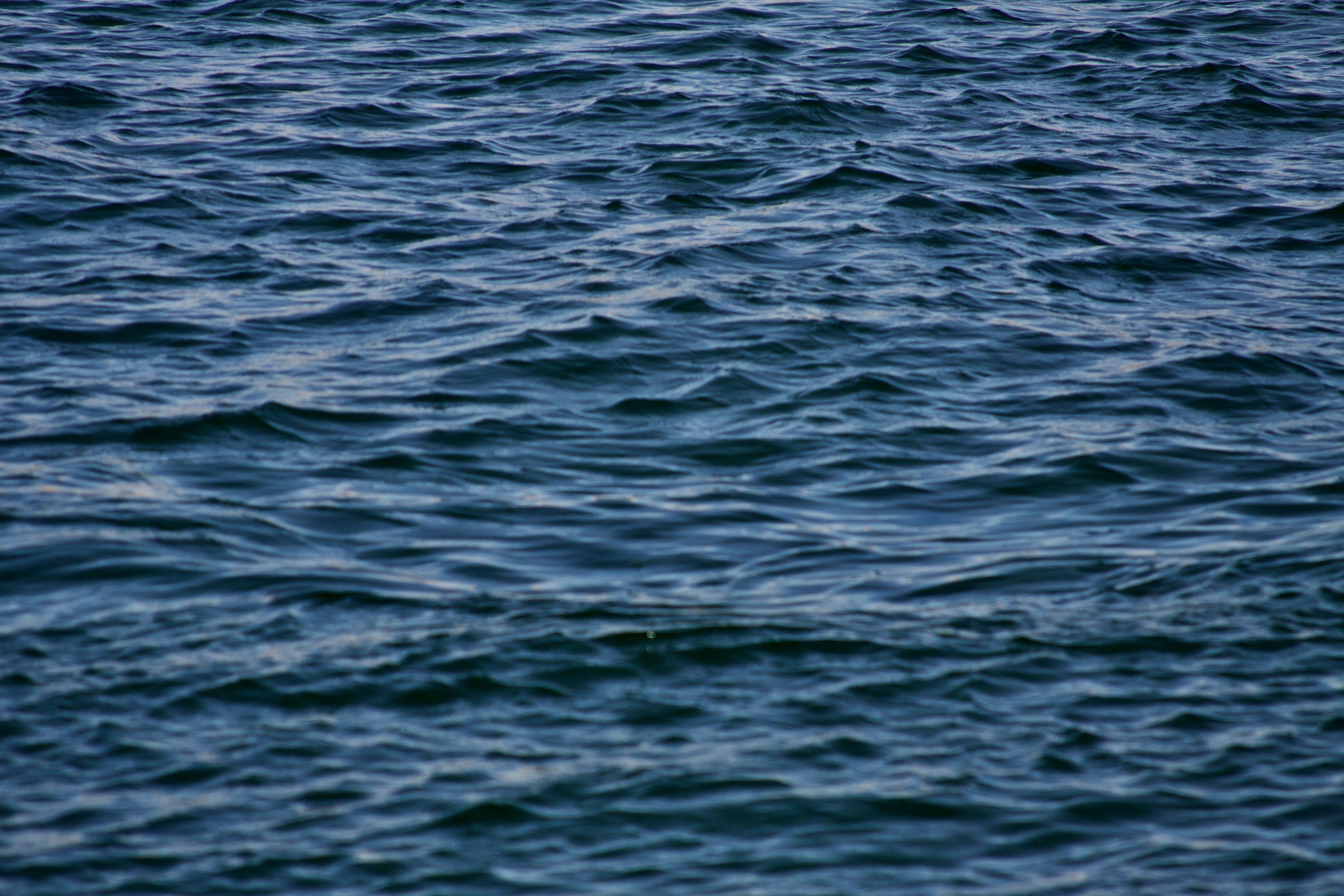 Photo by kellyanneacook