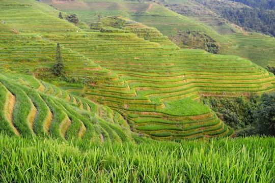 Banaue Rice Terraces, Philippines in Guilin China