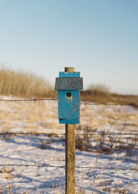 blue and brown wooden post at daytime in Saskatchewan Canada