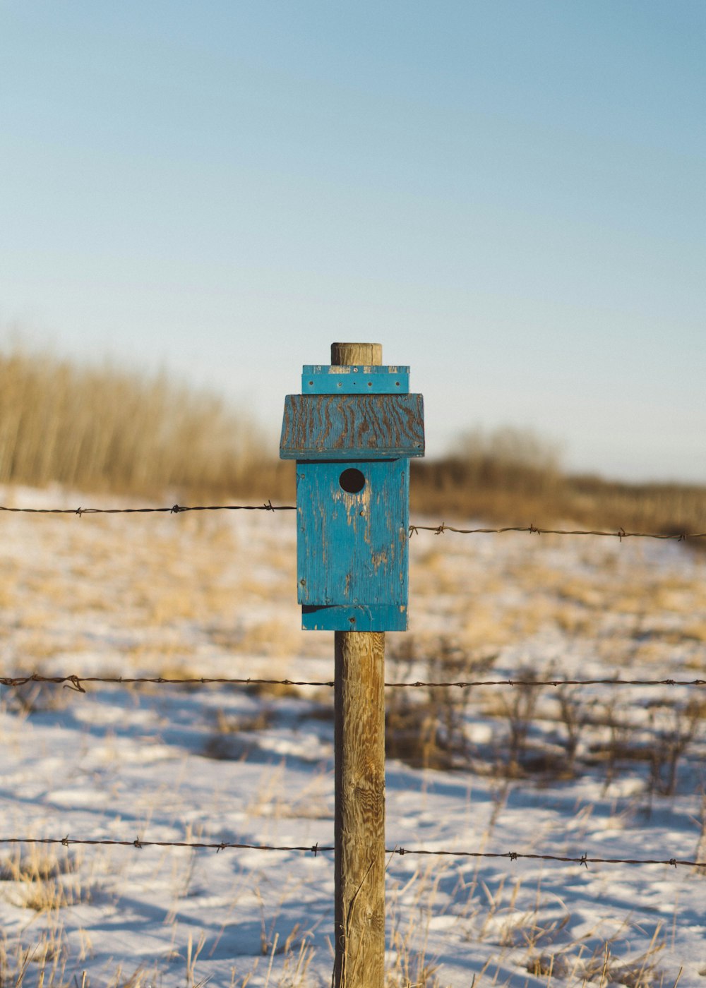 blue and brown wooden post at daytime