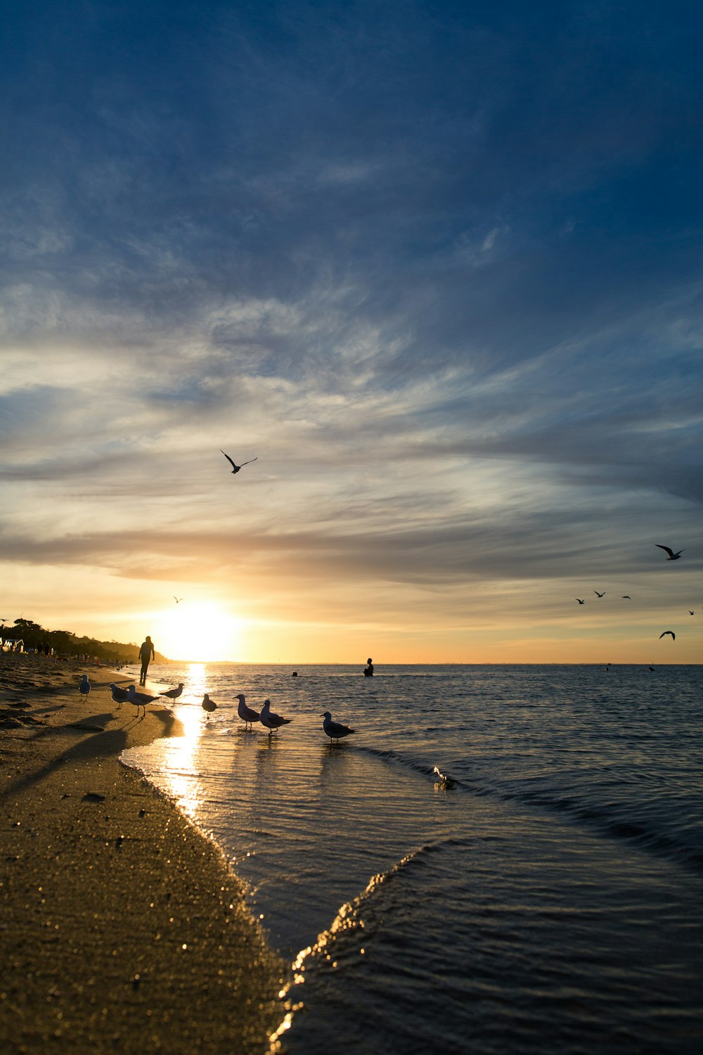 people on beach during sunset