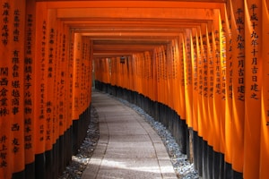 pathway with wooden arch gates with kanji scripts