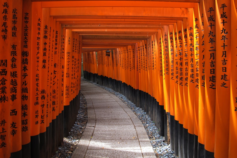 pathway with wooden arch gates with kanji scripts