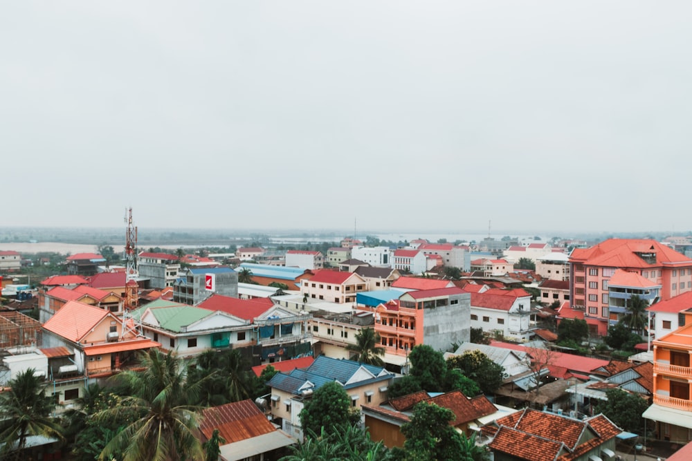 bird's eyeview photo of urban houses