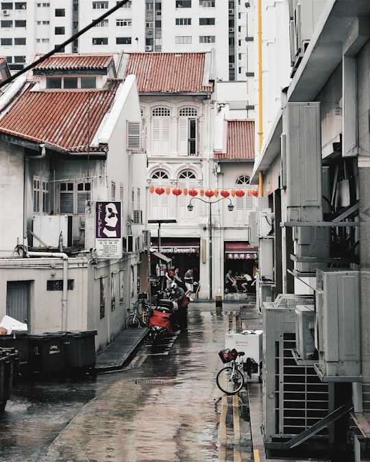 photo of Chinatown Singapore Town near Sentosa