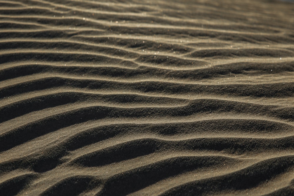 gray sand dunes