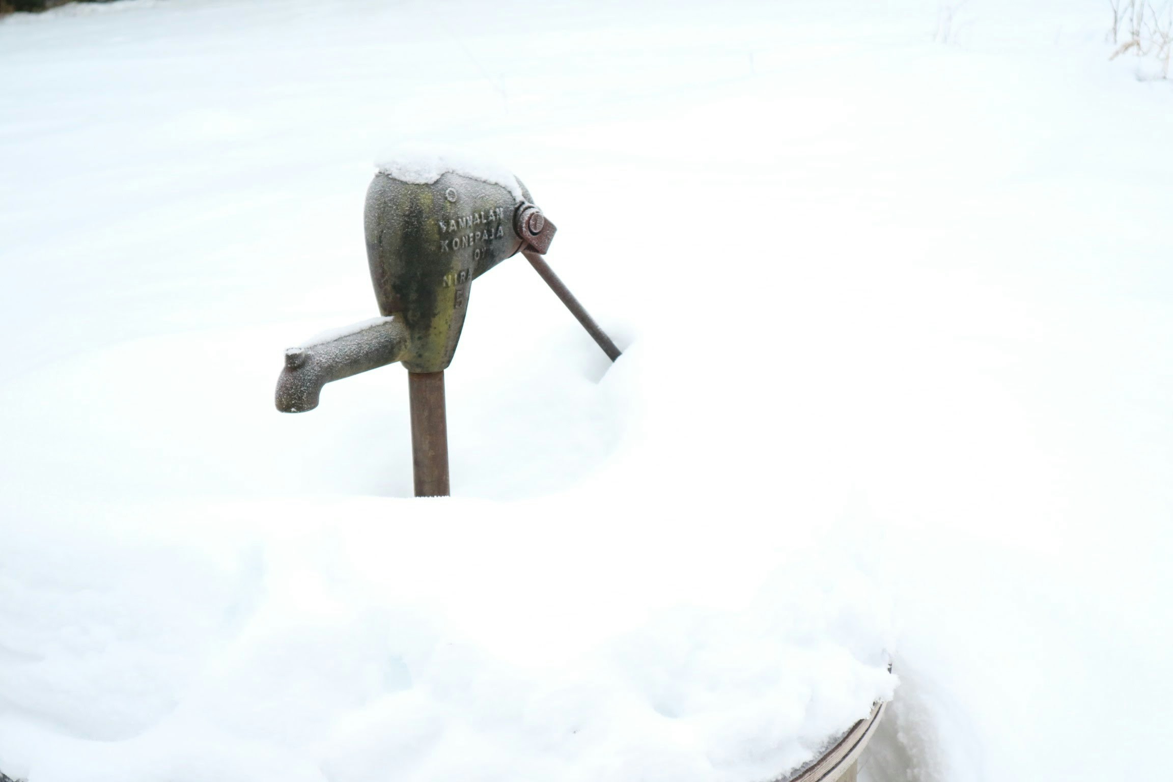 photo 1515999851029 5a3f132b1814?ixlib=rb 4.0