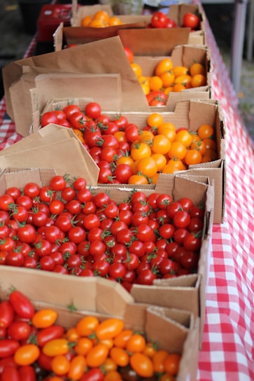 A variety of cherry tomatoes are displayed in cardboard boxes on a red and white checkered tablecloth. The tomatoes are primarily red and yellow, neatly organized and plentiful.