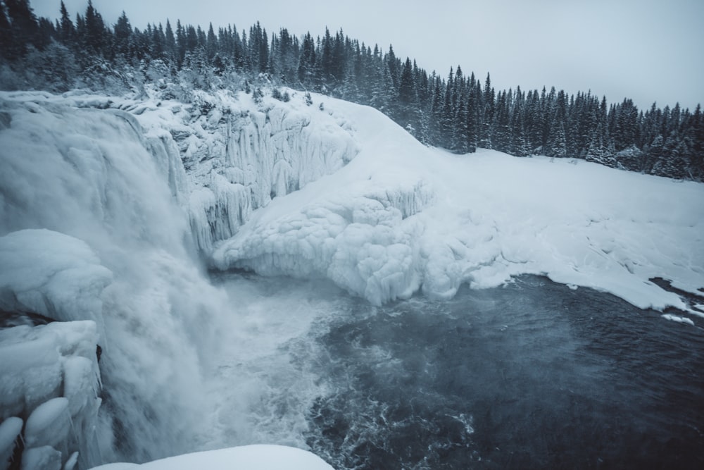 El hielo cae cerca del pino durante el día