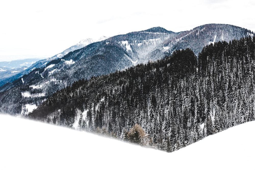 snow covered mountains at daytime