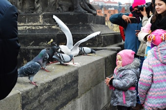 Several pigeons and a seagull are standing on a stone ledge, with a few crumbs scattered around them. A group of people, including children dressed in winter clothes, watches and takes photos of the birds. The children appear engaged and curious, wearing colorful jackets and hats.