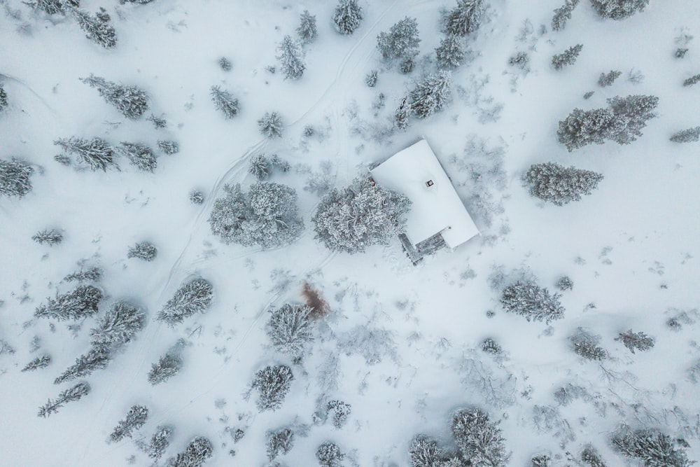 Fotografía de gran angular de la casa y los árboles con el campo de nieve