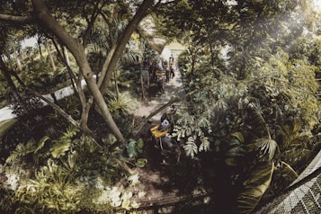 A dense tropical forest setting with lush green foliage and tall trees. A narrow path weaves through the vegetation, where a group of people are riding elephants. Sunlight filters through the trees, creating a dappled effect on the ground.