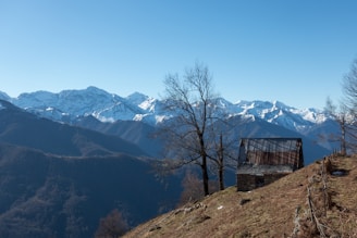 A cozy mountain cabin rental in Colorado with snow-capped peaks in the background under a clear blue sky.