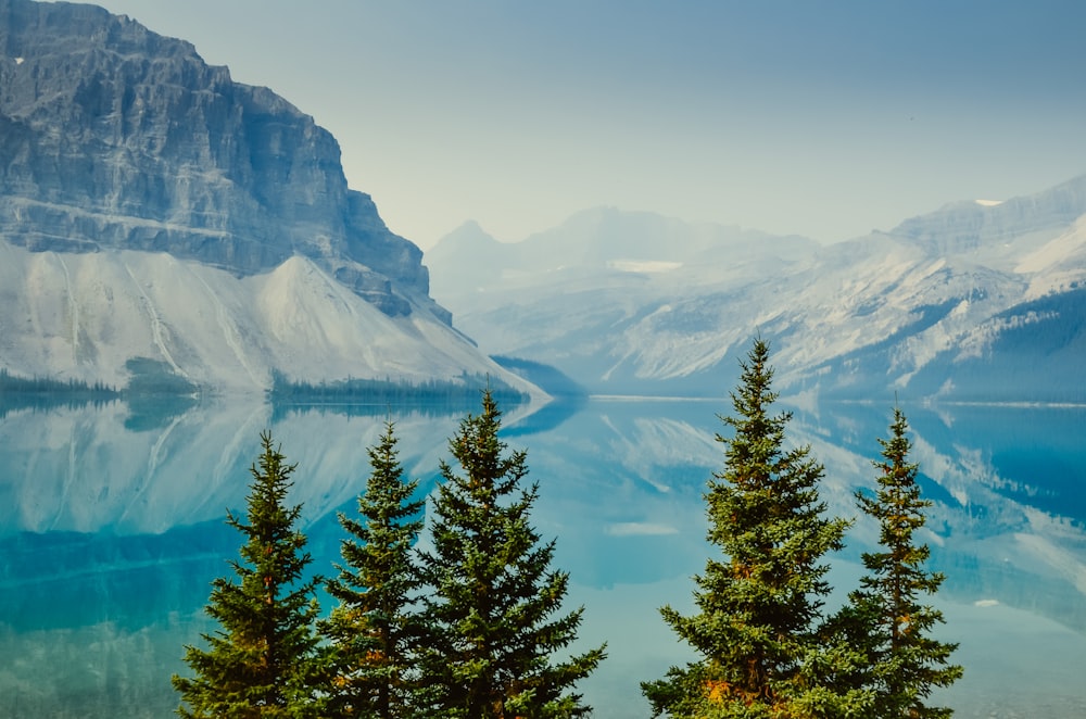 pine trees near body of water leading to mountains during daytime